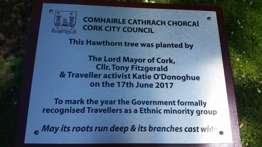 ethncity tree sign